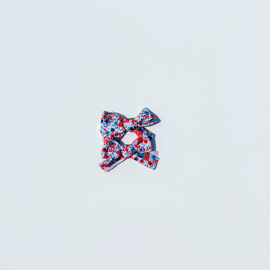 USA flag mini piggies